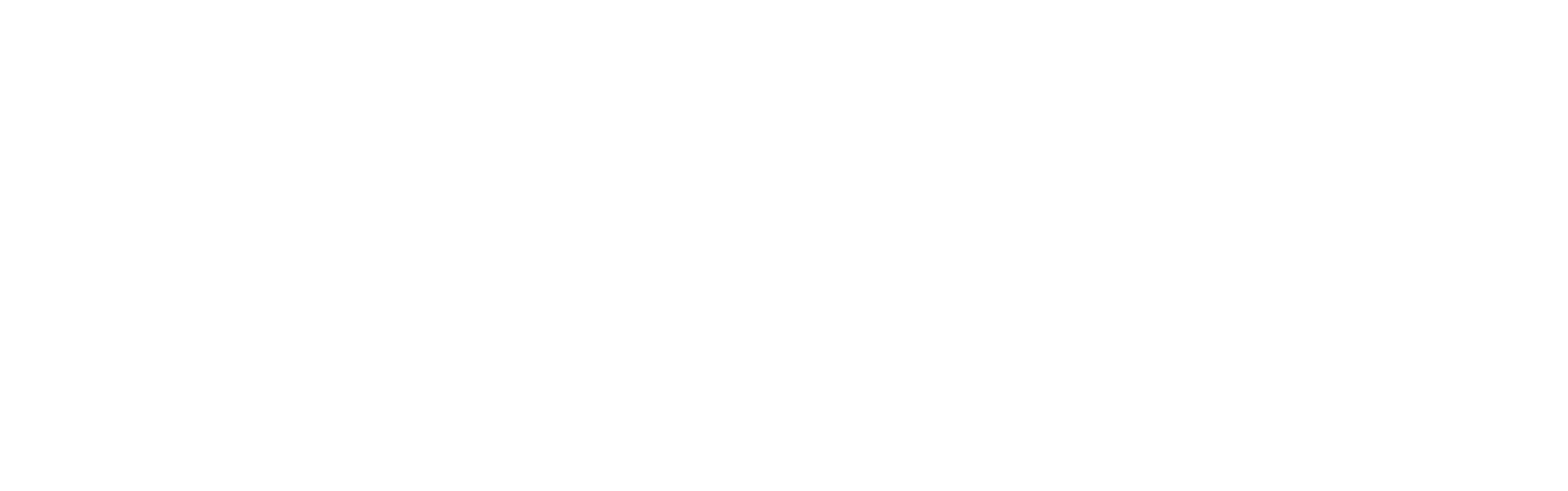 kanebo